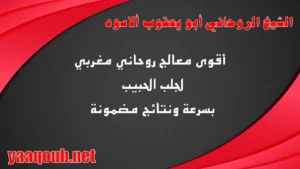 الشيخ الروحاني أبو يعقوب الأسود أقوى معالج روحاني مغربي لجلب الحبيب بسرعة ونتائج مضمونة
